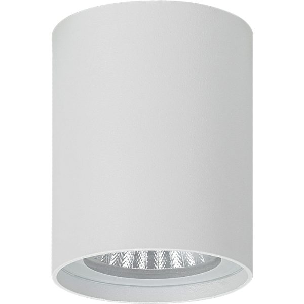 צמודי תקרה ROLL שיר 1000LM לבן 60° IP54 10W 3000K